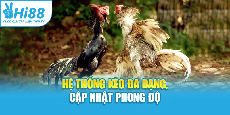 Hệ thống kèo đa dạng, cập nhật phong độ
